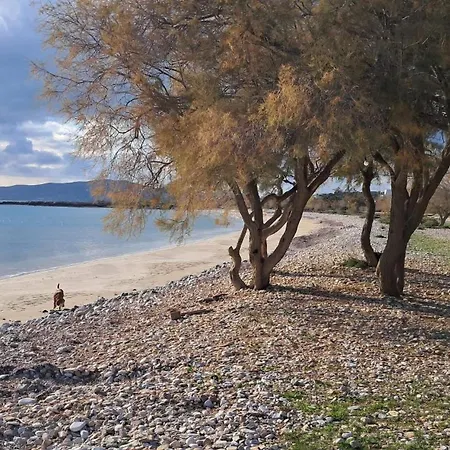 Lejlighed Irene's House In